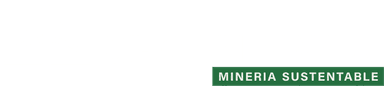Geoandina Logo